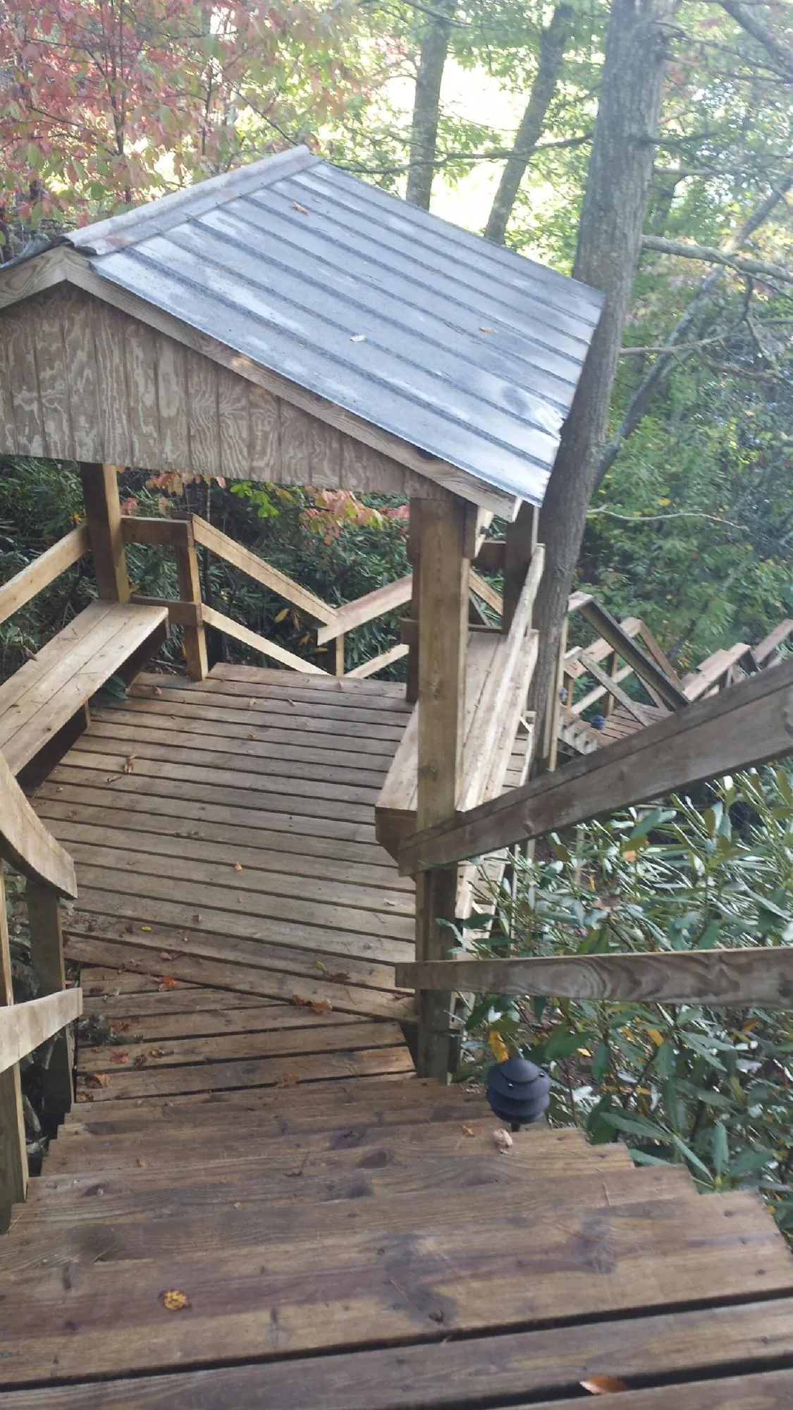 Metal roofed shelter over wooden steps on a wooded walkway — Skylight Repair & Installation work by our crew in Winnett